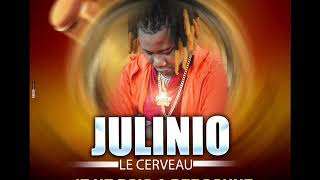 JULINIO LE CERVEAU_JE NE DOIT A PERSONNE