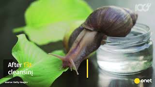 Biotaniqe - Snail Repair Therapy