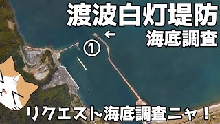 渡波白灯堤防でGOPRO放り込んでみた！リクエスト漁港海底調査第14弾！相川漁港と小泊漁港も！！【宮城県 石巻市】