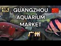 Monster Fish Market, Guangzhou, China | Walking Tour [4K 60 fps]