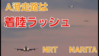 ✈✈RJAA成田空港 北風運用時Aランの着陸ラッシュ!!チャイナエアライン ハワイアン航空 エチオピア航空 (Ethiopian Airlines)(Hawaiian Airlines)Narita