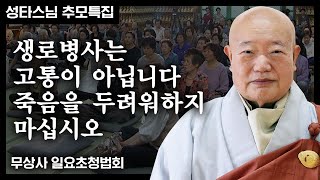 🙏[성타대종사 추모특집] | \