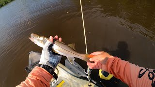 Post Hurricane Milton kayak fishing