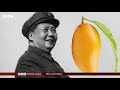 மாவோ ஆட்சியில் சீனர்கள் மாம்பழத்தை வணங்கியது ஏன் china mango history mao