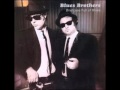 The Blues Brothers   Shotgun Blues