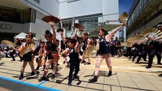 伊達雀　2016仙台・青葉まつり　仙台駅前すずめ踊り演舞