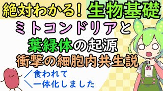 【生物基礎】ミトコンドリアと葉緑体の起源・細胞内共生説　～めたもる高校生物～