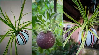 #shorts/ചിരട്ട കൊണ്ടൊരു ചട്ടി // Hanging Craft//Low cost pots//nellikka talks //Coconut shell pots//