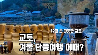 [뿌리소 교토 / 오사카] 23년 12월 겨울 단풍여행으로 아라시야마 가다! 겨울 아라시야마 단풍 어때??