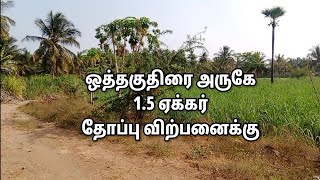 #PR161 (#PR144) ஒத்தகுதிரை அருகே 1.5 ஏக்கர் தென்னந்தோப்பு விற்பனைக்கு