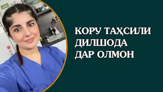 Кору таҳсили Дилшода Дар Олмон