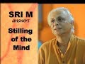 Sri M answers - (Short Video) - Stilling the mind and brain changes in the path of self-realisation.