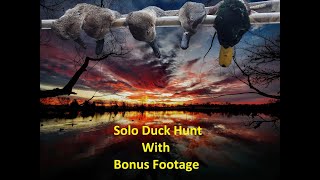 Solo Hunt on Farm Pond - Mallards, Gadwalls, and a Diver: Duck Master Dogs Waterfowl Series