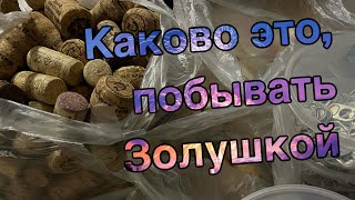 Собираем и сдаем вторсырье: первая сдача в 25году