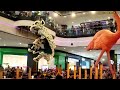 [Lion Dance Competition] 高桩舞狮争霸赛 2024 Acrobatic Lion Dance Championship Quayside Mall #關丹建造行武術醒獅團