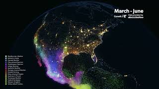 Spring Bird Migration Data Visualization (Cornell Lab of Ornithology) [audio described]
