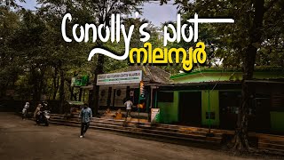 ഇപ്പോ Conolly's plot-ൽ കാഴ്ചകൾ ഒന്നും കാണാനില്ല കുറച്ചു കഴിഞ്ഞു പോകുന്നതായിരിക്കും നല്ലത്! #nilambur