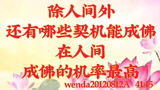 卢台长开示：除人间外还有哪些契机能成佛；在人间成佛的机率最高wenda20160527  11:06