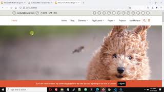 Import Drupal Demo Content Using SQL File
