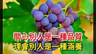 關心別人是一種品質，理會別人是一種涵養