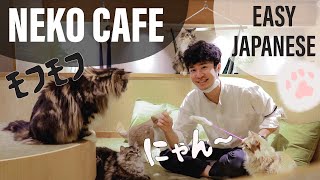 「日本最大級の猫カフェ」で日本語学ぼう！Cat Cafe Shinjuku Tokyo, Learn Easy Japanese with English Subtitles