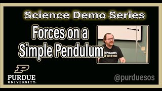 Forces on a Simple Pendulum