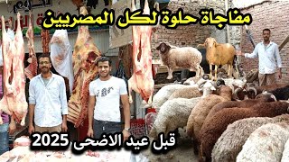 مفاجاة من الوزير شخصياً 😱 خصم 70 ج على اسعار اللحمة البلدي والضاني واسعار خرفان عيد الاضحى