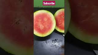 watermelon🍉# kanish kutty channel#