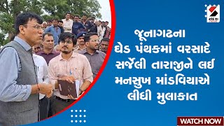 Mansukh Mandaviya | Junagadhના ઘેડ પંથકમાં વરસાદે સર્જેલી તારાજીને લઈ મનસુખ માંડવિયાએ લીધી મુલાકાત