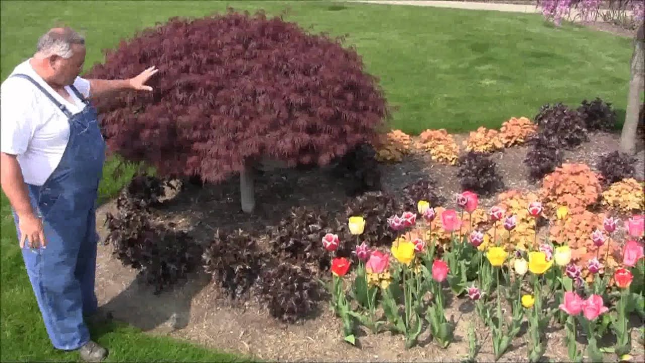 Landscaping Ideas Youtube