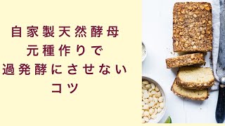 【自家製天然酵母】元種作りで過発酵にさせないコツとは？　フルーツ酵母　自家製天然酵母　パン教室　教室開業　大阪　奈良　東京　福岡　名古屋