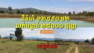 ដីទំជាង១ហិកតា លក់បន្ទាន់ ២៥០០០ដុល្លា(ខេត្តកំពត)|AT-921