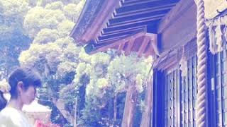 あわの歌⛩厳島神社