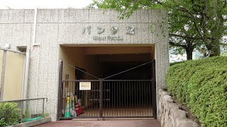 タンタンのおうちまで歩く🐼 パンダ館へGO！！ #王子動物園🐼 #2022年7月14日🐼