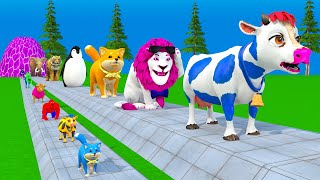 Paint \u0026 Animals Mammoth,Gorilla,Tiger,Duck,Cow,Lion Fountain Crossing Transformation Animals Cartoon