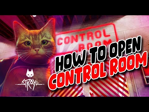 Stray How to open the control room