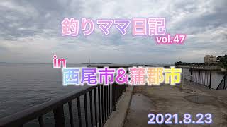 釣りママ日記vol.47西尾市\u0026蒲郡市