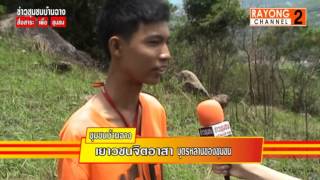 ปลูกป่าปลูกจิตสำนึกเพื่อชุมชน ห้วยมะหาด ตอนที่1