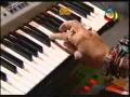 anamika video 12 anamika video 12