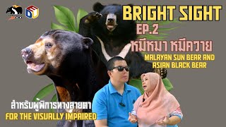 Bright Sight Ep_2 หมีหมาและหมีควาย