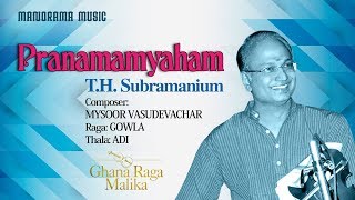 Pranamamyaham | Gowla | T H Subramaniam