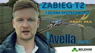 Ochrona liścia flagowego w zabiegu T2 - AVELLA 200EC