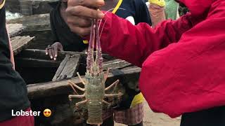 Yetty’s Adventures at Akodo Fishing Village, Lagos, Nigeria