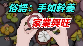 俗語「手如幹姜，家業興旺」，說的是什麼意思？有沒有道理？【酒窩談國學】#趣味科普#國學智慧#人生感悟#算命#風水