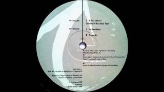 Miro - Spaceman (Mr Sam \u0026 Marko's 'Definition Of Weird Minds' Remix) [Traveller 2002]