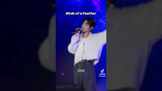 hwang in yeop singing to bird of a feather 🪶😍🫶🫶#hwanginyeop #singing#kpop #editing #keepsupporting😘💝