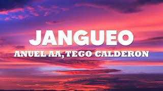Anuel AA, Tego Calderon – Jangueo  (Letra/Lyrics) 💗💗