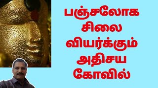 சிக்கலை தீர்க்கும் சிங்காரவேவன் | sikkal singaravelan kovil