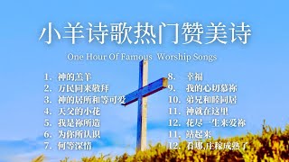 小羊诗歌热门赞美诗｜每日灵修｜一小时敬拜音乐｜一小时祷告领受