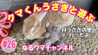 クマくんうさぎさんとあそぶ